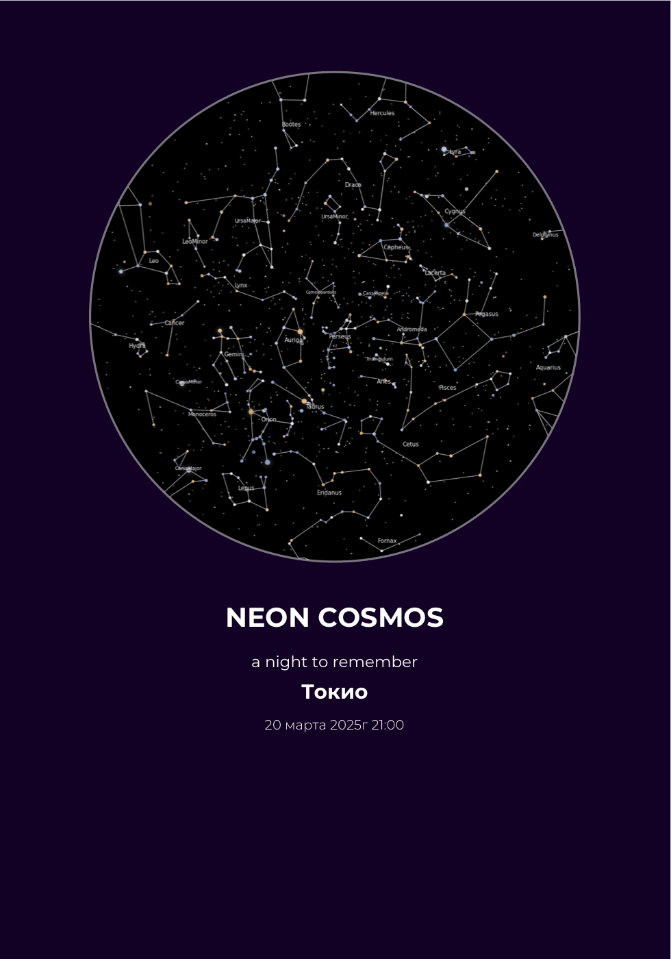 Poster example